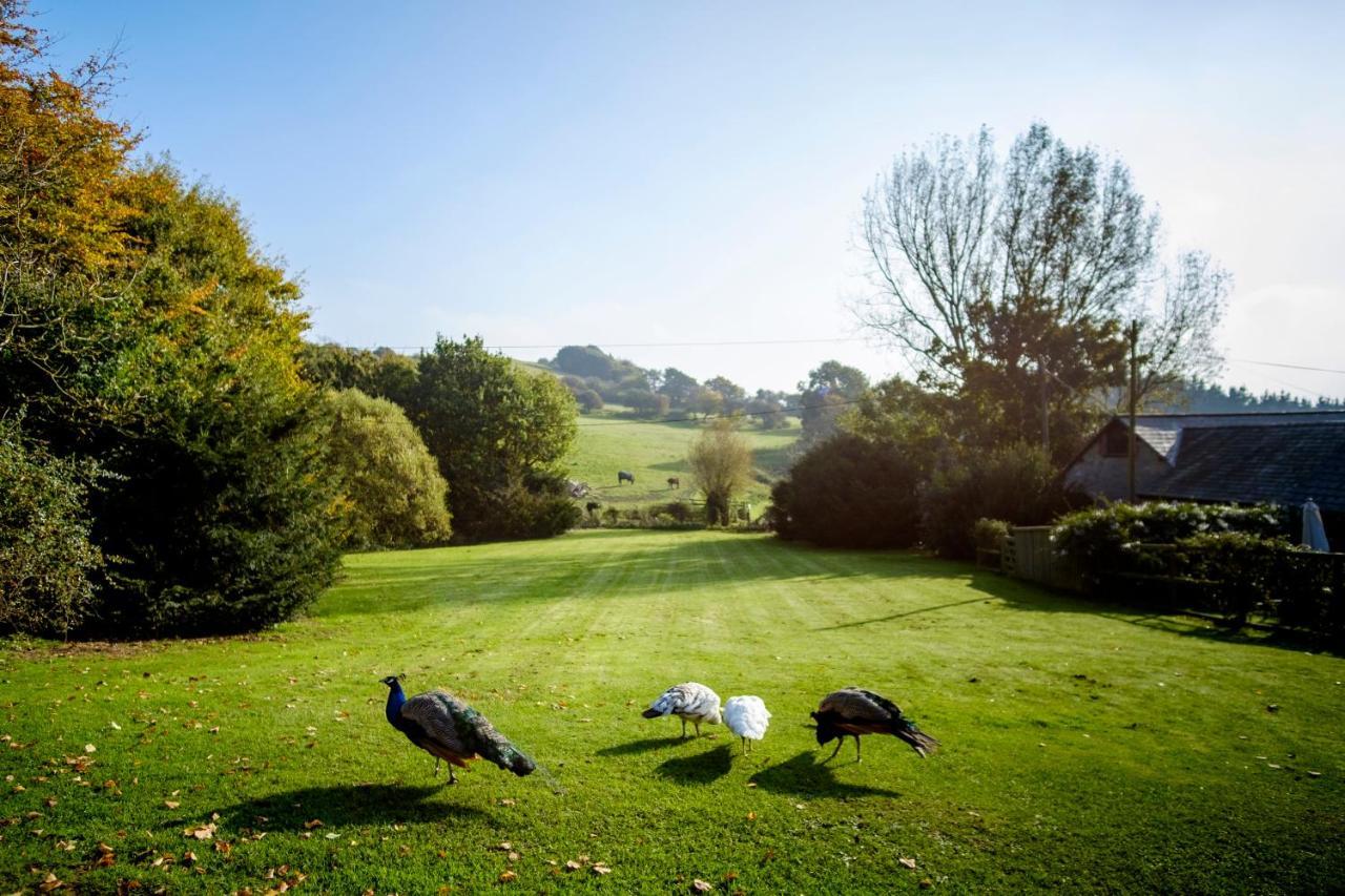Villa The Garlic Farm Sandown Esterno foto